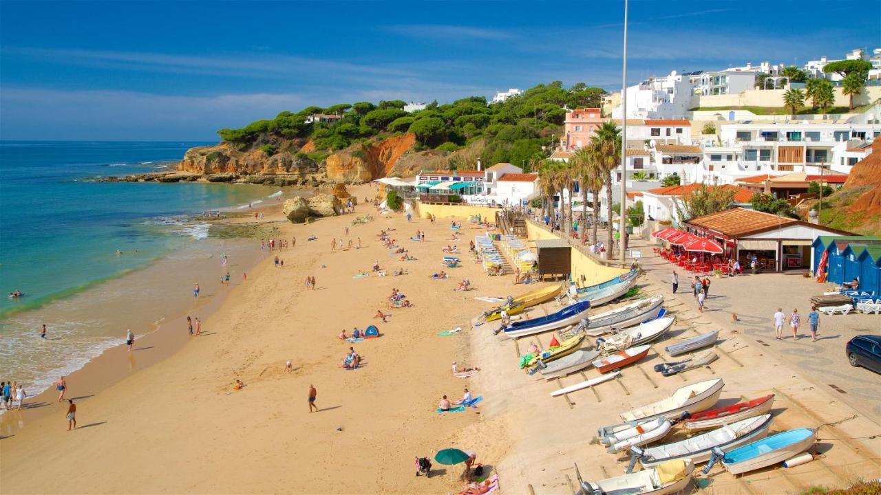 몬카라파초 Quinta Pereiro Tropic Garden, Algarve B&B 외부 사진