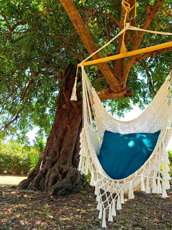 몬카라파초 Quinta Pereiro Tropic Garden, Algarve B&B 외부 사진