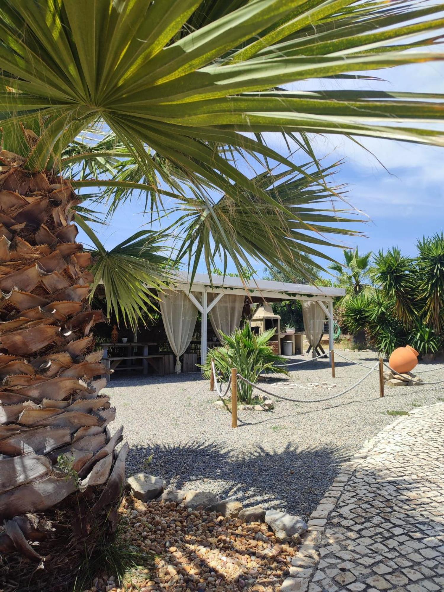 몬카라파초 Quinta Pereiro Tropic Garden, Algarve B&B 외부 사진